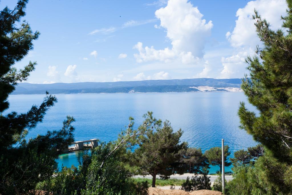 Apartments Lovic ロクヴァ・ロゴズニツァ 部屋 写真
